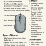 What is a Mouse?