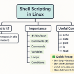What is Shell Scripting?